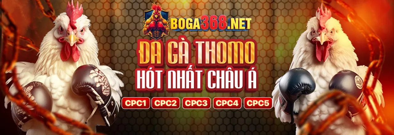 Hiểu rõ luật chơi và tỷ lệ thanh toán